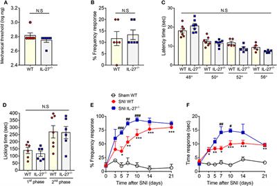 IL-27 Counteracts Neuropathic Pain Development Through Induction of IL-10